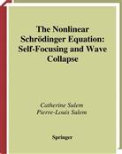 Catherin Sulem, Catherine Sulem, Pierre-Louis Sulem - The Nonlinear Schrödinger Equation