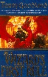 Terry Goodkind - Sword of Truth 01. Wizard's First Rule