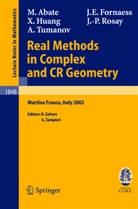 Marc Abate, Marco Abate, John Eri Fornaess, John Erik Fornaess, Xiaojun Huang, Xiaojun et Huang... - Real Methods in Complex and CR Geometry