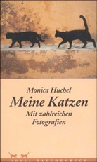 Monica Huchel - Meine Katzen