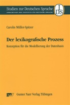 Carolin Müller-Spitzer - Der lexikografische Prozess