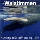 Wolfgang Tins, Kar H Dingler, Karl H Dingler, Schulze, Schulze, Wolfgang Tins - Walstimmen, 1 Audio-CD (Audio book)