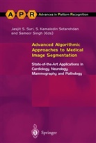 S. Kamaledin Setarehdan, S. Kamaledin Setarehdan, Sameer Singh, Jasjit S. Suri - Advanced Algorithmic Approaches to Medical Image Segmentation