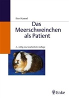 Ilse Hamel - Das Meerschweinchen als Patient