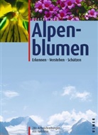 Dieter Heß - Alpenblumen
