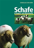 Stanislaus von Korn - Schafe in Koppel- und Hütehaltung