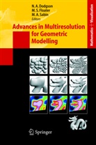 Neil Dodgson, Neil A. Dodgson, Michael S. Floater, Michae S Floater, Michael S Floater, Malcolm Sabin... - Advances in Multiresolution for Geometric Modelling