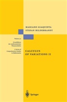 Marian Giaquinta, Mariano Giaquinta, Stefan Hildebrandt - Calculus of Variations, 2 Vols. - 2: Calculus of Variations II