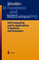 Rafik A. Aliev, Rafik Azi Aliev, Rafik Aziz Aliev, Rashad Aliev, Rashad R. Aliev, Rashad Rafik Aliev... - Soft Computing and its Applications in Business and Economics