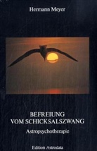 Hermann Meyer - Befreiung vom Schicksalszwang