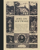 Avram Joel Spolsky, Joel Spolsky - Joel on Software