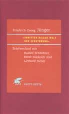Friedrich G Jünger, Friedrich G. Jünger, Friedrich Georg Jünger, Ulric Fröschle, Ulrich Fröschle, Haase... - 'Inmitten dieser Welt der Zerstörung'