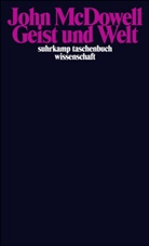 John McDowell - Geist und Welt