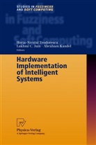 Lakhmi C. Jain, Kandel, Kandel, Abraham Kandel, Horia-Nicola Teodorescu, Horia-Nicolai Teodorescu - Hardware Implementation of Intelligent Systems