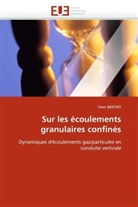Yann Bertho, Bertho-Y - Sur les ecoulements granulaires