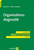 Felf, Jör Felfe, Jörg Felfe, Liepmann, Detlev Liepmann - Organisationsdiagnostik