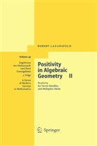 R K Lazarsfeld, R. K Lazarsfeld, R. K. Lazarsfeld, R.K. Lazarsfeld, Robert Lazarsfeld - Positivity in Algebraic Geometry - 2: Positivity in Algebraic Geometry II