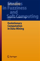 Ashis Ghosh, Ashish Ghosh, Lakhmi C. Jain - Evolutionary Computation in Data Mining