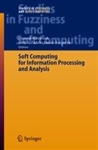 A Zadeh, A Zadeh, Janusz Kacprzyk, Masou Nikravesh, Masoud Nikravesh, Lofti A. Zadeh... - Soft Computing for Information Processing and Analysis