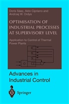 Ald Cipriano, Aldo Cipriano, Andrzej Ordys, Andrzej W Ordys, Andrzej W. Ordys, Doris Saez... - Optimisation of Industrial Processes at Supervisory Level