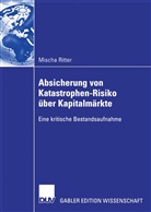 Mischa Ritter - Absicherung von Katastrophen-Risiko über Kapitalmärkte