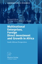Willem A Naudé, Bernard Michael Gilroy, Bernhard M. Gilroy, T. Gries, Thoma Gries, Thomas Gries... - Multinational Enterprises, Foreign Direct Investment and Growth in Africa