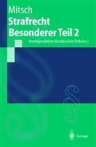 Wolfgang Mitsch - Strafrecht, Besonderer Teil - 2/2: Strafrecht Besonderer Teil 2