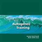 Henrik Brandt, Steffen Grose - Weniger Stress durch Autogenes Training. Tl.1, 1 Audio-CD (Audio book)