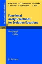 Giusepp Da Prato, Giuseppe Da Prato, Giuseppe DaPrato, Peer Ch. Kunstmann, Peer Christia Kunstmann, Peer Christian Kunstmann... - Functional Analytic Methods for Evolution Equations
