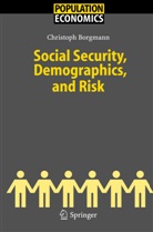 C. Borgmann, Christoph Borgmann, Christoph Hendrik Borgmann - Social Security, Demographics, and Risk