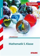 Walte Czech, Walter Czech, Alfred Müller - Mathematik 5. Klasse (G8), Bayern