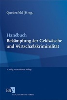 Claudia Emonds, Michael Findeisen, Peter Findeisen, Frauke Menke, Udo Muehlroth, Martin Plischke... - Handbuch Bekämpfung der Geldwäsche und Wirtschaftskriminalität