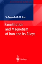 Mehmet Acet, Werne Pepperhoff, Werner Pepperhoff - Constitution and Magnetism of Iron and its Alloys