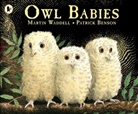 Patrick Benson, Marti Waddel, Martin Waddell, Patrick Benson, Benson Patrick - Owl Babies