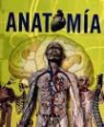 Adriana Rigutti - Anatomía