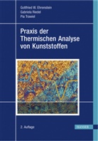 Ehrenstei, Gottfried W Ehrenstein, Gottfried W. Ehrenstein, Gottfried Wilhel Ehrenstein, Gottfried Wilhelm Ehrenstein, Riede... - Praxis der Thermischen Analyse von Kunststoffen
