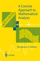 M. A. Robdera, Mangatiana A Robdera, Mangatiana A. Robdera - A Concise Approach to Mathematical Analysis