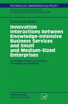 Emmanuel Muller - Innovation Interactions Between Knowledge-Intensive Business Services And Small And Medium-Sized Enterprises