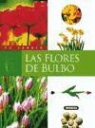 Global Edition Proyectos de Comunicación, Uno Ediciones - FLORES DE BULBO