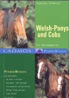 Angelika Schmelzer - Welsh-Ponys und Cobs