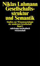 Niklas Luhmann - Gesellschaftsstruktur und Semantik. Bd.1