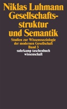 Niklas Luhmann - Gesellschaftsstruktur und Semantik. Bd.3