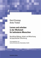 Gerd Grampp, Anke Triebel - Lernen und arbeiten in der Werkstatt für behinderte Menschen