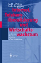 Andre Jungmittag, Paul J Welfens, Paul J J Welfens, Paul J. J. Welfens - Internet, Telekomliberalisierung und Wirtschaftswachstum