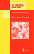 Luding, Luding, Stefan Luding, Thorste Pöschel, Thorsten Pöschel - Granular Gases