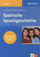 Annegret Bollee, Ingrid Neumann-Holzschuh - Spanische Sprachgeschichte