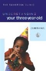 Louise Emanuel, Louise Emmanuel - Understanding Your Three-Year-Old