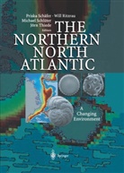 Wil Ritzrau, Will Ritzrau, Priska Schäfer, Michael Schlüter, Michael Schlüter et al, Jörn Thiede - The Northern North Atlantic