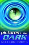 Gillian Cross - Pictures in the Dark
