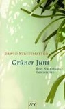 Erwin Strittmatter - Grüner Juni